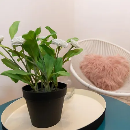 Principe 152 Pensionat Bari